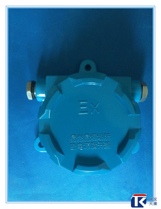 壁掛式防爆熱電阻/pt100、4-20mA輸出